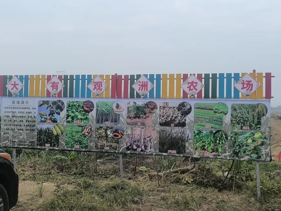 新野营地