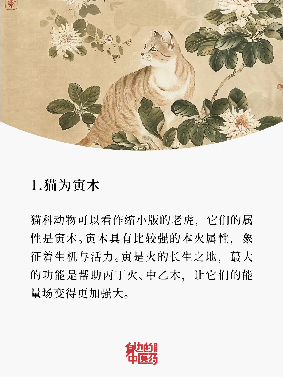 养猫真的可以缓解压力！刷到的你福气在后头呢！