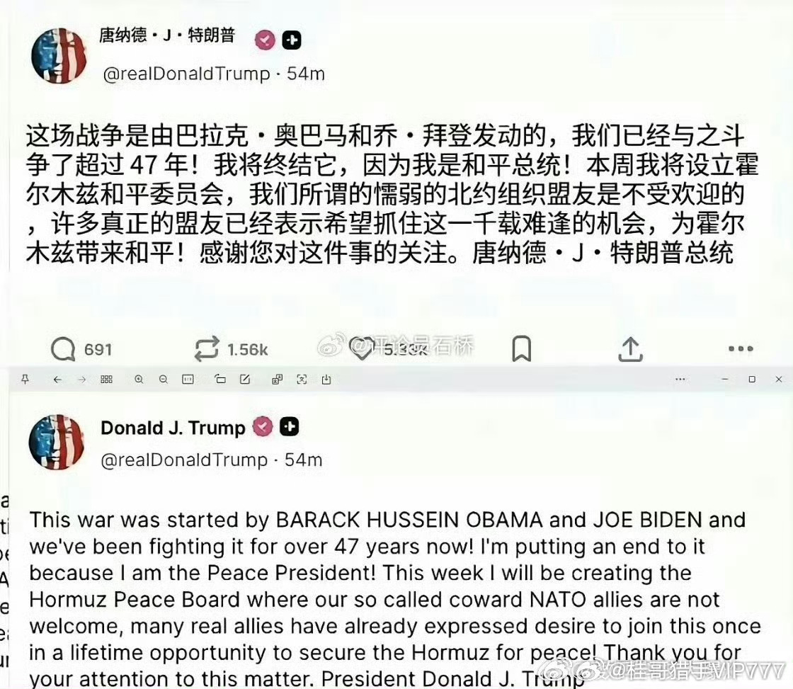 桂哥评：发现他们特别精通和擅长各种话术欺骗，什么和平总统，和平委员会...  明