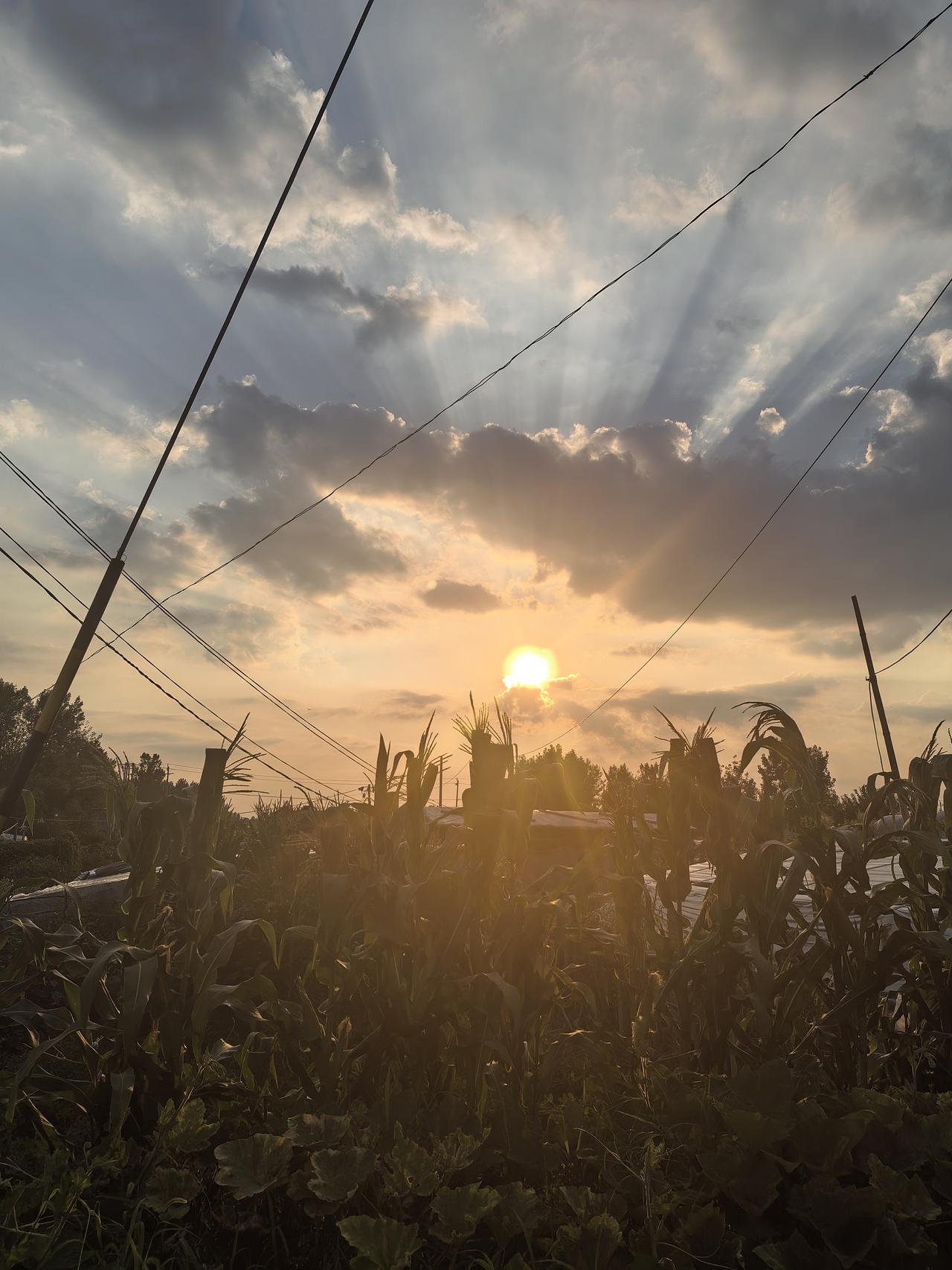 上传一张你手机里天空的照片吧