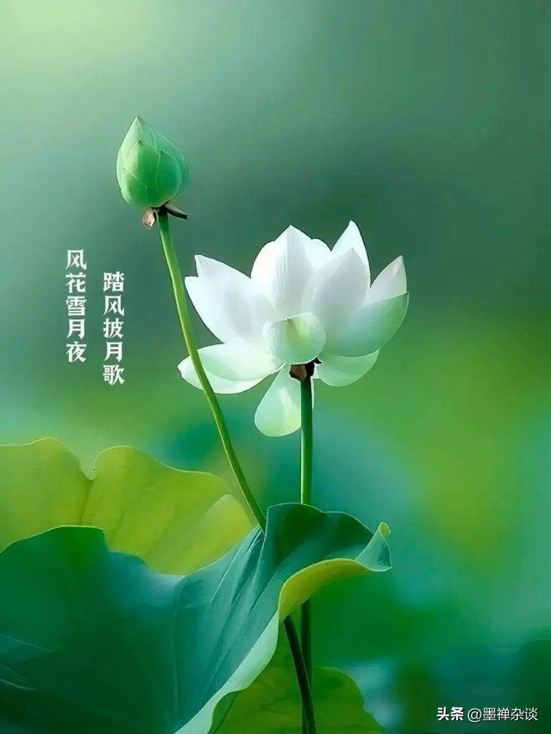 一位在急诊室干了大半辈子的老主任，今年退休时在群里留下一段掏心窝子的话：
“8月