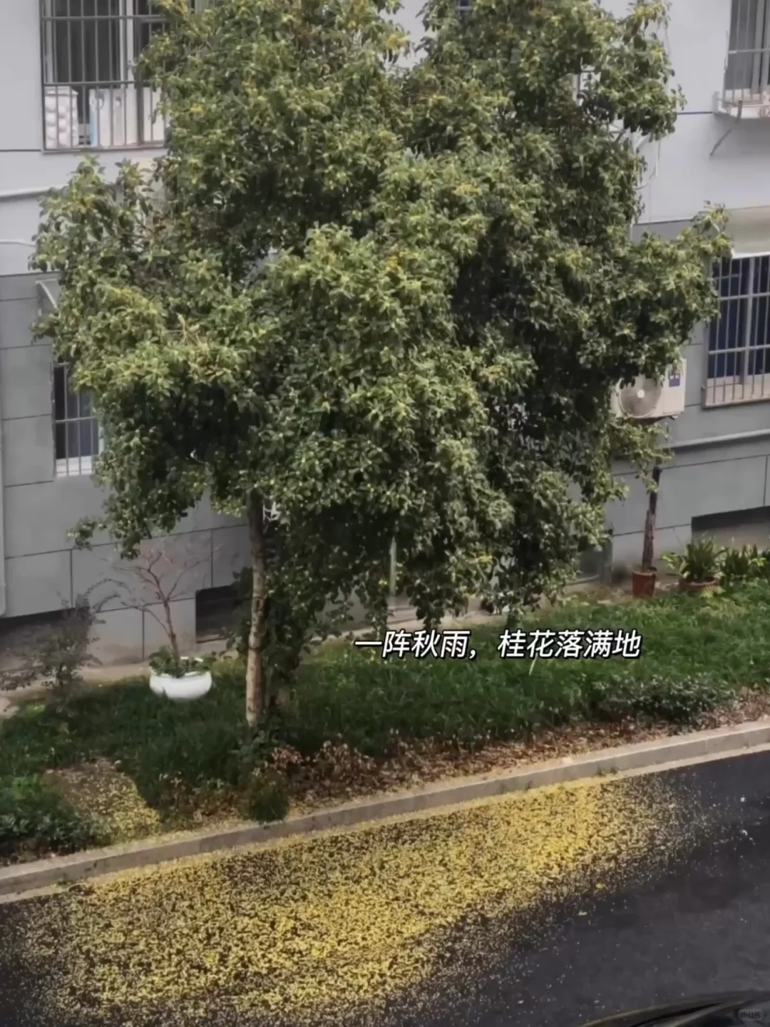 书单｜一些降温后的精神食粮