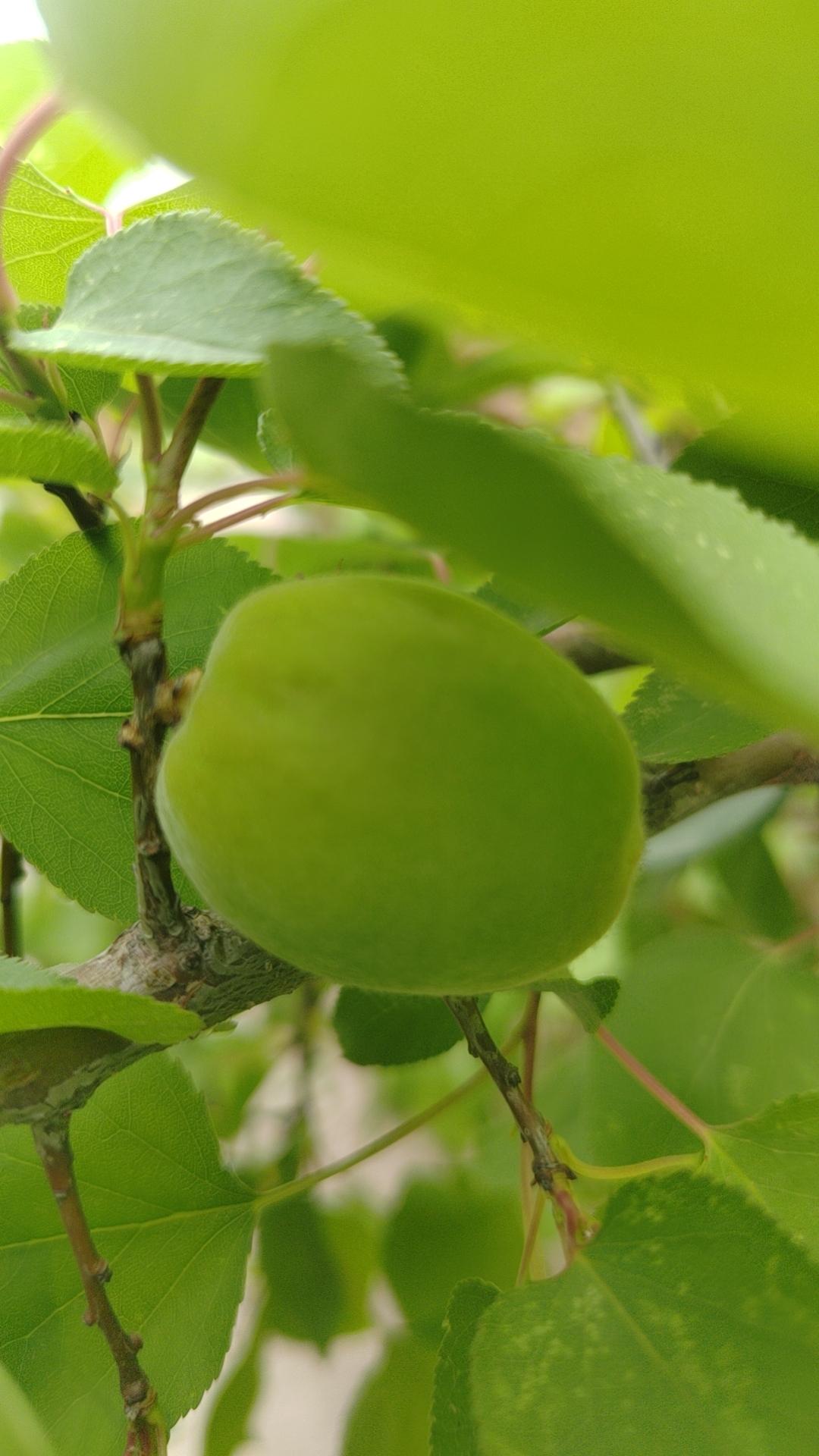 我们平时是否弄错了！
1考试的目的是找错因，找差距，培优补缺， 而不是为了看分数