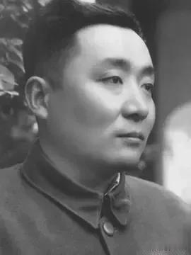 讲到解放后黄梅戏的发展史，就不能不提到一个人——湖北黄梅县人桂林栖。
 
解放前
