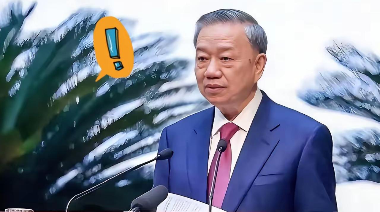 越南传来新消息！
2026年3月19日，越南正式向阿尔及利亚求助，希望确保石油和