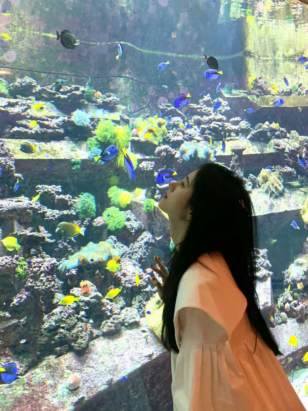 鞠婧祎去了海底世界  鞠婧祎漫步水族馆的画面也太治愈了～ 被温柔的蓝色海水环绕，