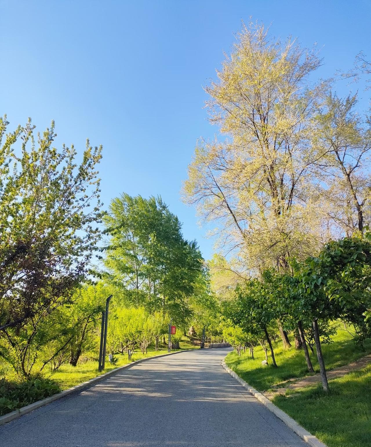 从30岁开始跑步，跑到现在有16年了，十几年跑下来，最大的感触是跑步不会让你增加