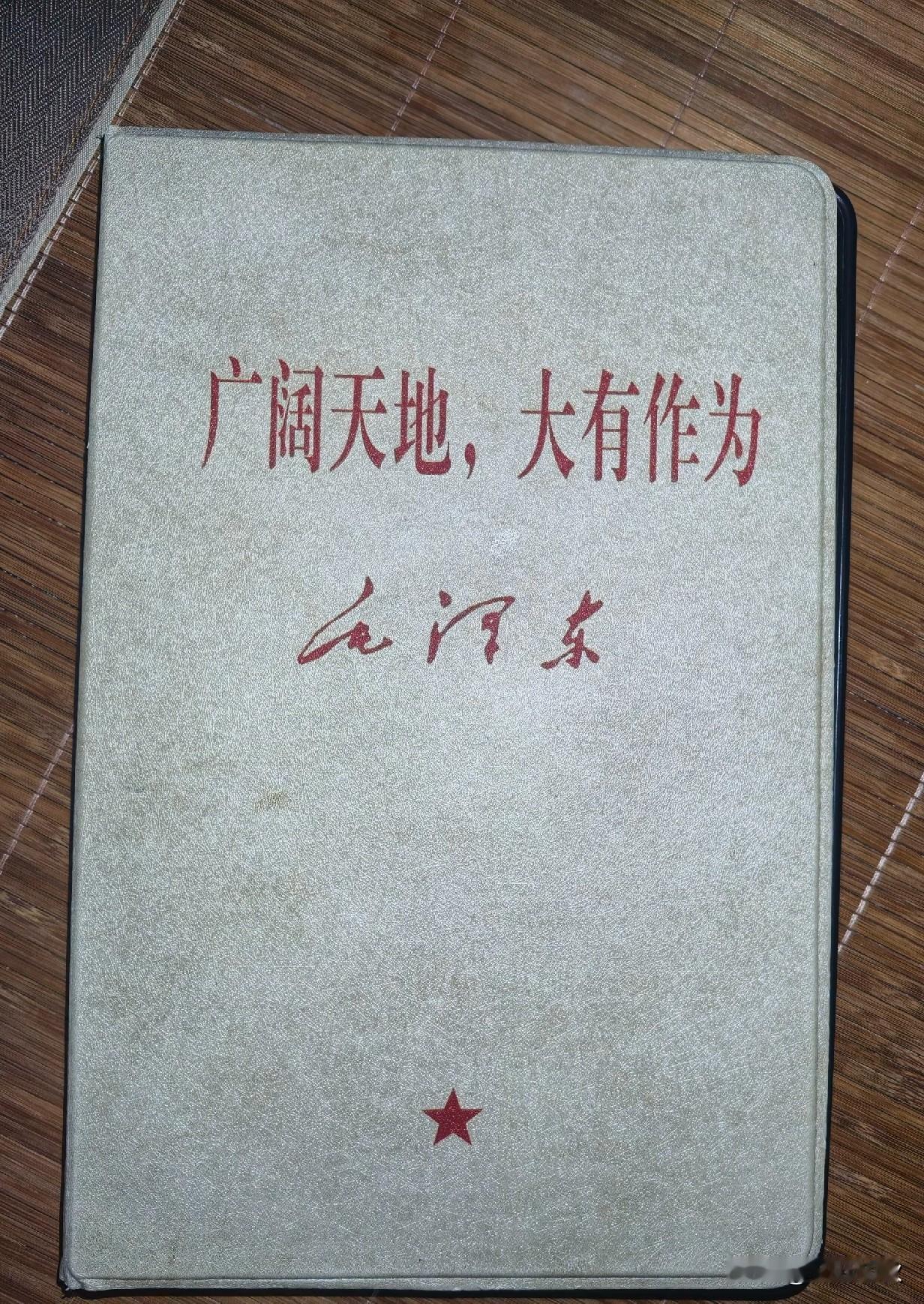 广阔天地，大有作为。
在毛泽东思想的指引下，无数先辈怀揣理想、扎根大地，以实干担