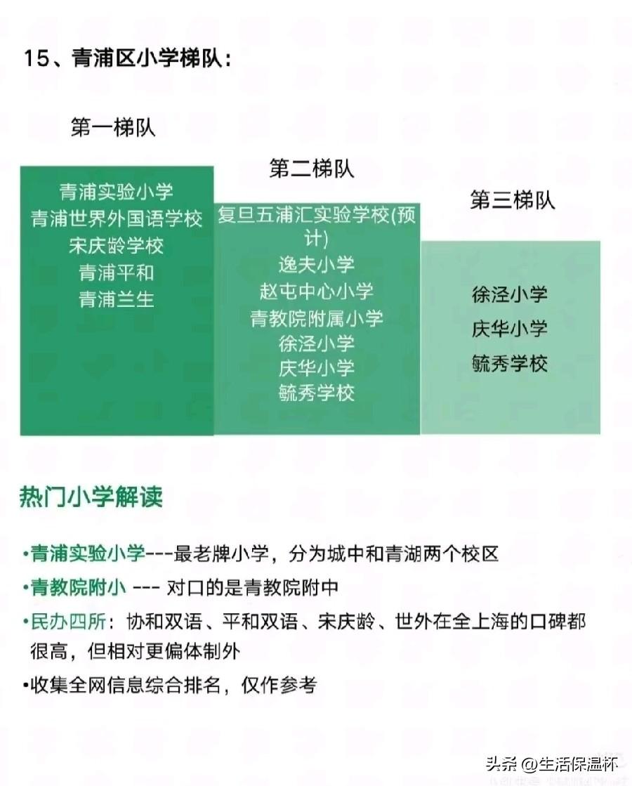 上海青浦区小学梯队排行榜出炉，复旦五浦汇、逸夫小学、青教院附小等归入第二梯队，青