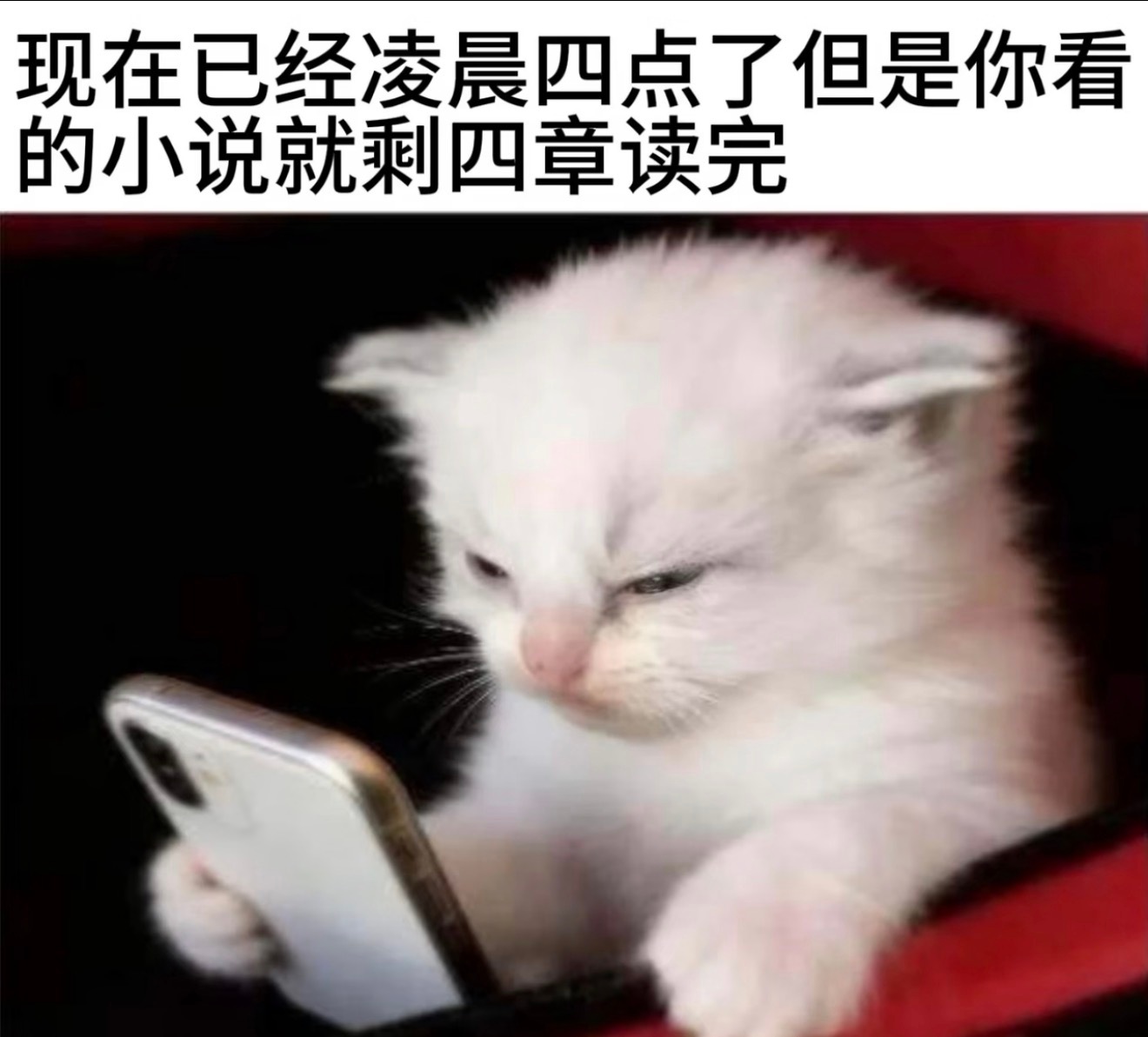 睡眠不足真的很糟糕长期睡眠不足真的太伤身心，白天昏沉乏力注意力涣散，情绪易烦躁焦