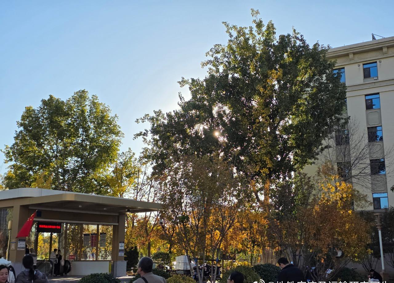 网友：2025年11月1日（星期六），太原，16:30，天气晴好，实时温度19℃