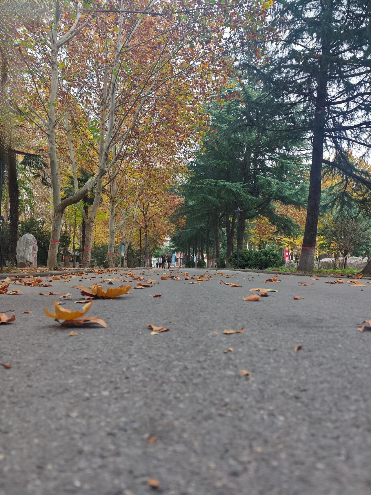 和孩子都斤斤计较的人，单位上一定人人厌烦，家里也是人见人厌，性格决定命运。
面上