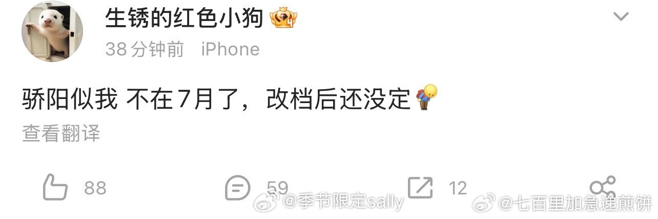 骄阳似我、枭起青壤都不在暑假档播，明智的选择 ​​​