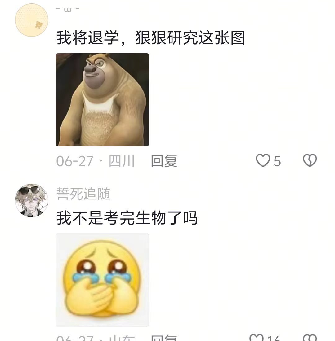 《小熊软糖杂交之父》 
