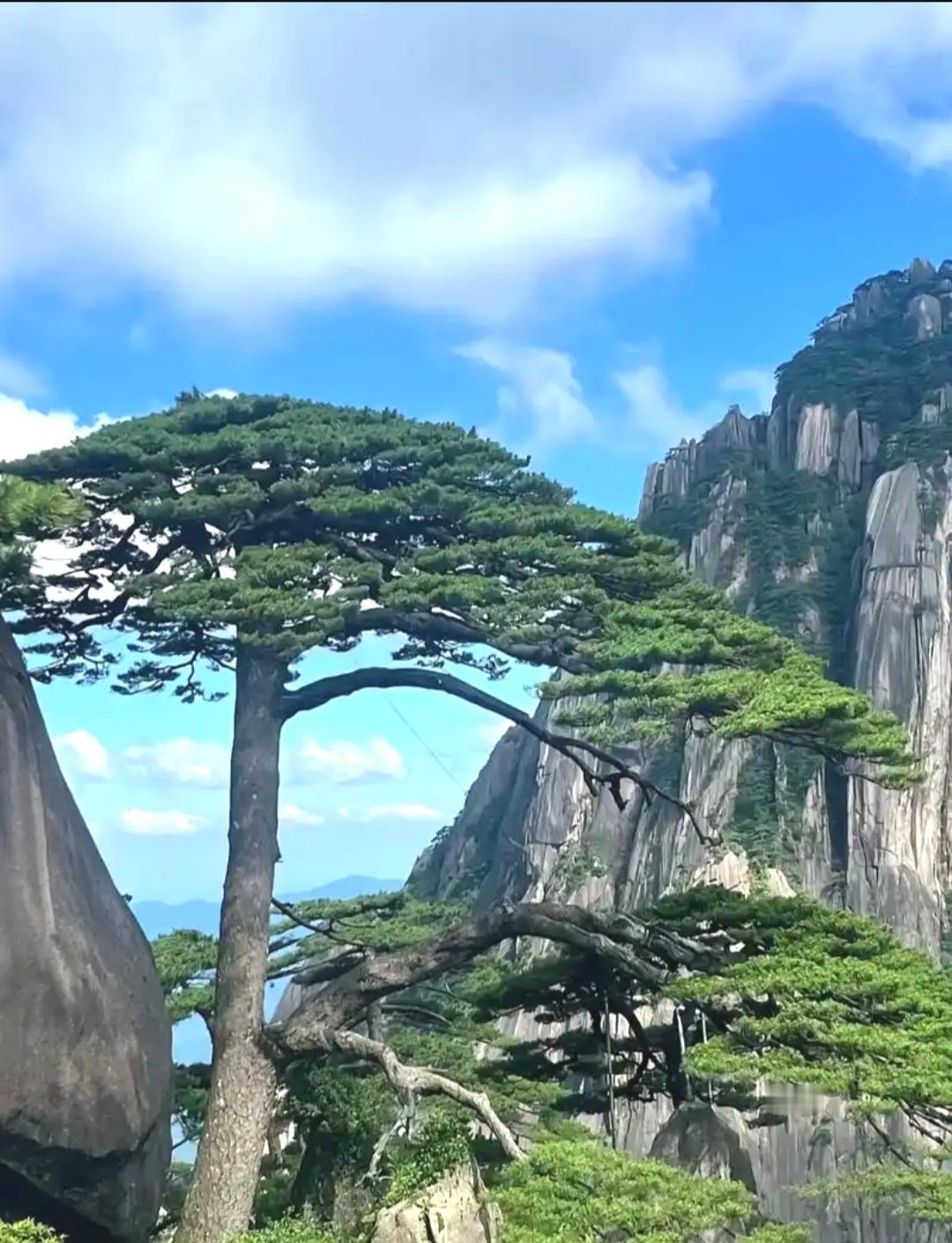 安微省都有哪些景点具有代表性？
安徽那代表性景点可不少。黄山必须拥有姓名，奇松、