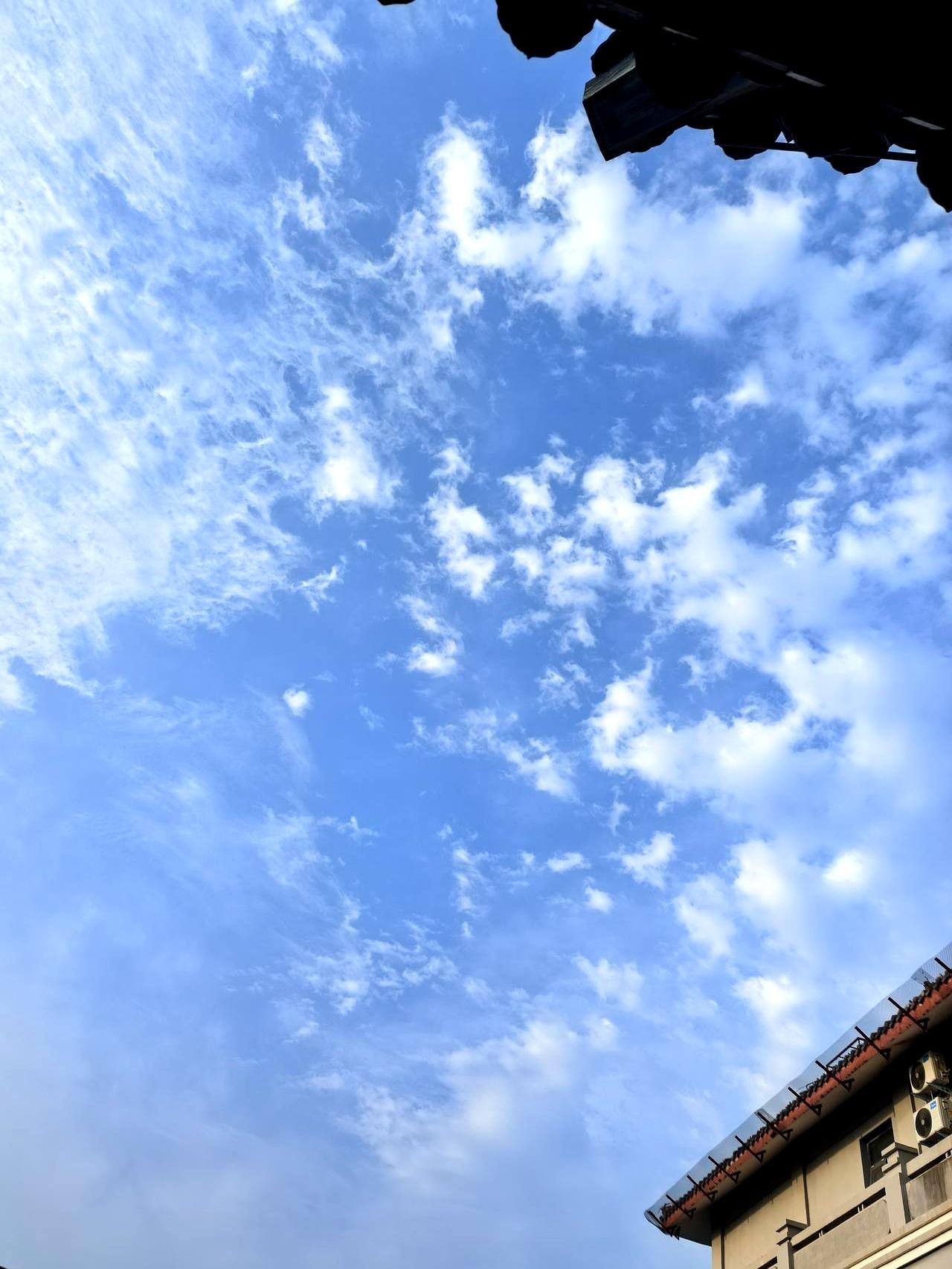 我真是开了眼了，儿子刚谈个对象，这姑娘第一天就想直接住进我家。
更离谱的是，白天