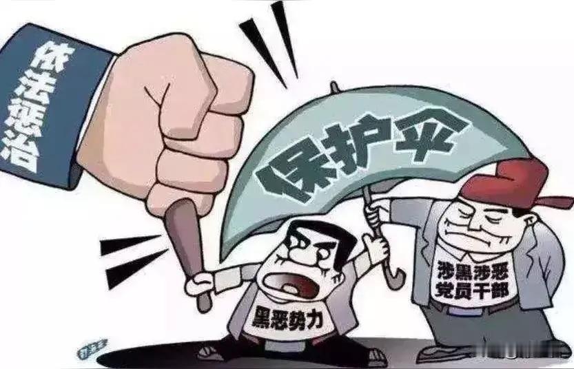 老百姓恨的从来不是明面上的混混，而是混混身后那把“看不见的伞”。

你细想：为啥