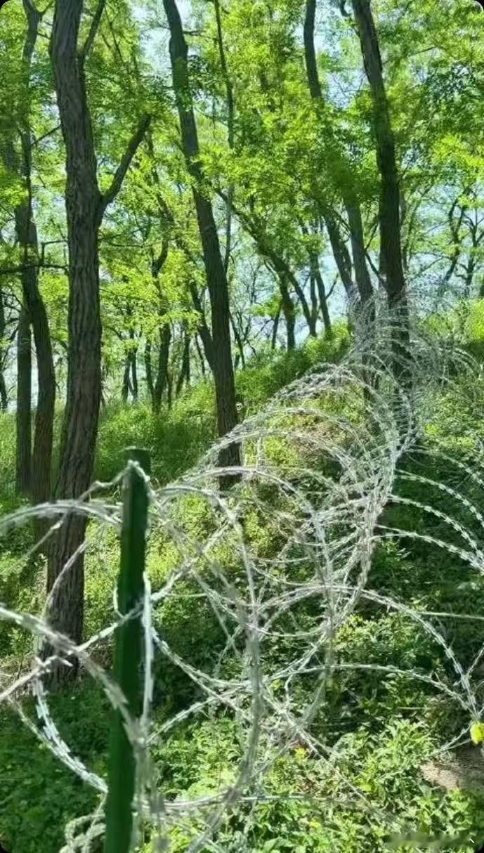 泰山景区道歉这又不是道歉，也不需要道歉，管委会做得没错啊，当地老百姓、游客都不会