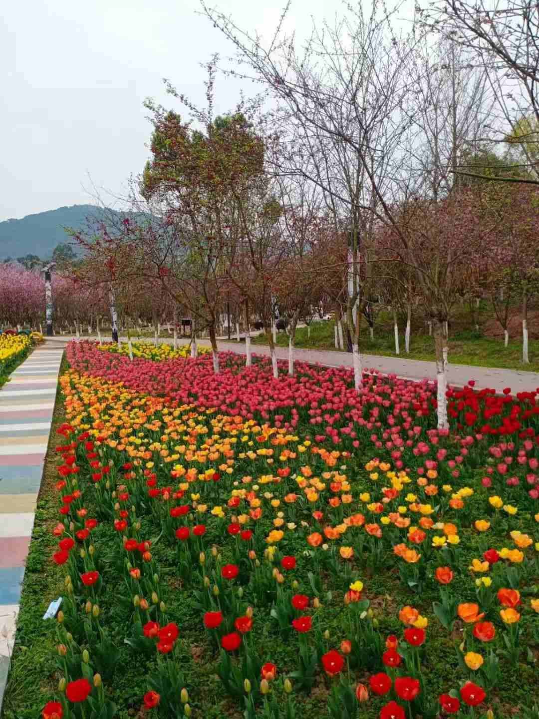 每天最累的事情，不是用轮椅推着妈妈溜达好几个小时，还不停歇，而是每天给爱挑剔的妈