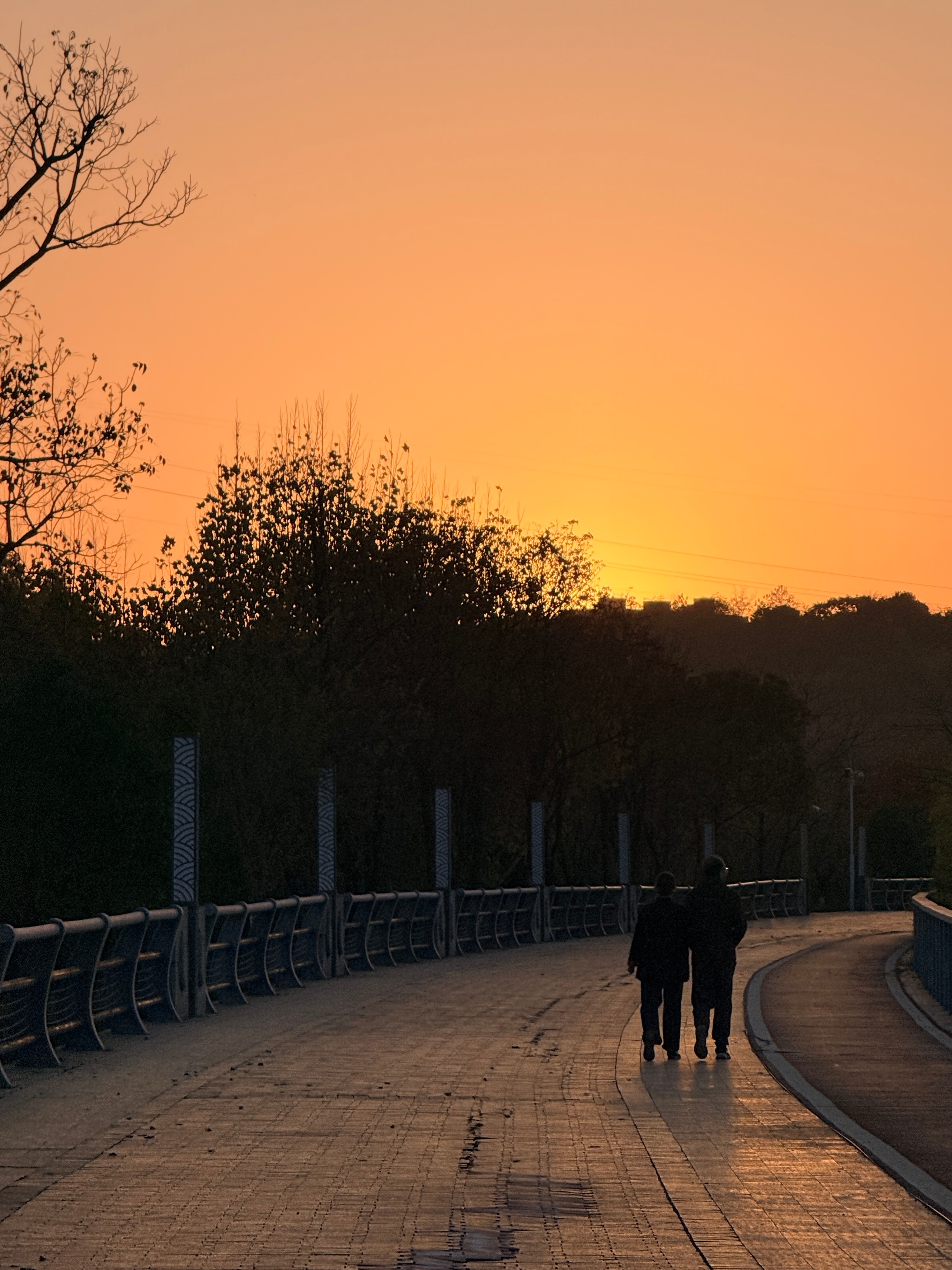 嘴上总说着一个人的好 看到这情景也还是羡慕 