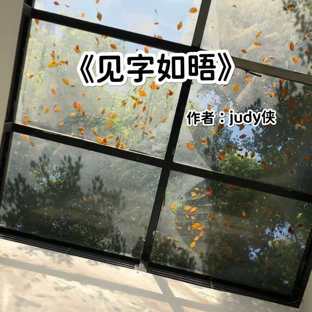 宅家小说｜熟男熟 女《见字如晤》
