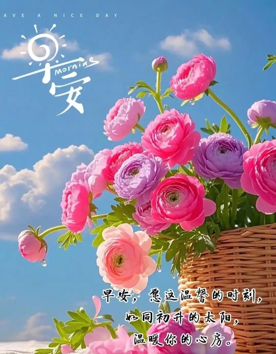 2026-1-6，星期二，晴🌤早安人生终成故事，唯愿它足够精彩。没有人可以回到