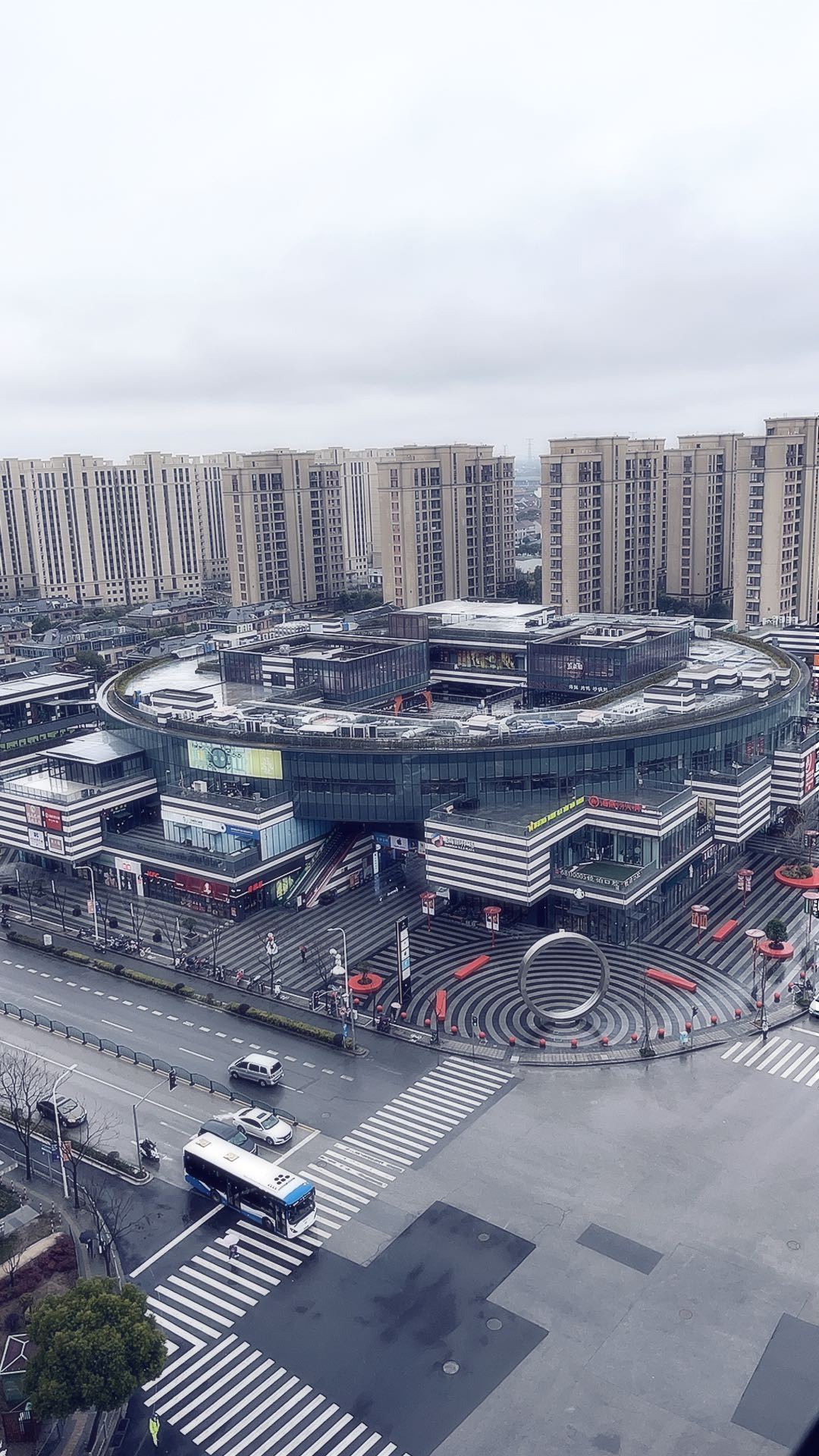 #上海暴雨#早起确实听到了打雷声，还有闪电⚡️暴雨⛈️没看到，天气是真的又湿又冷