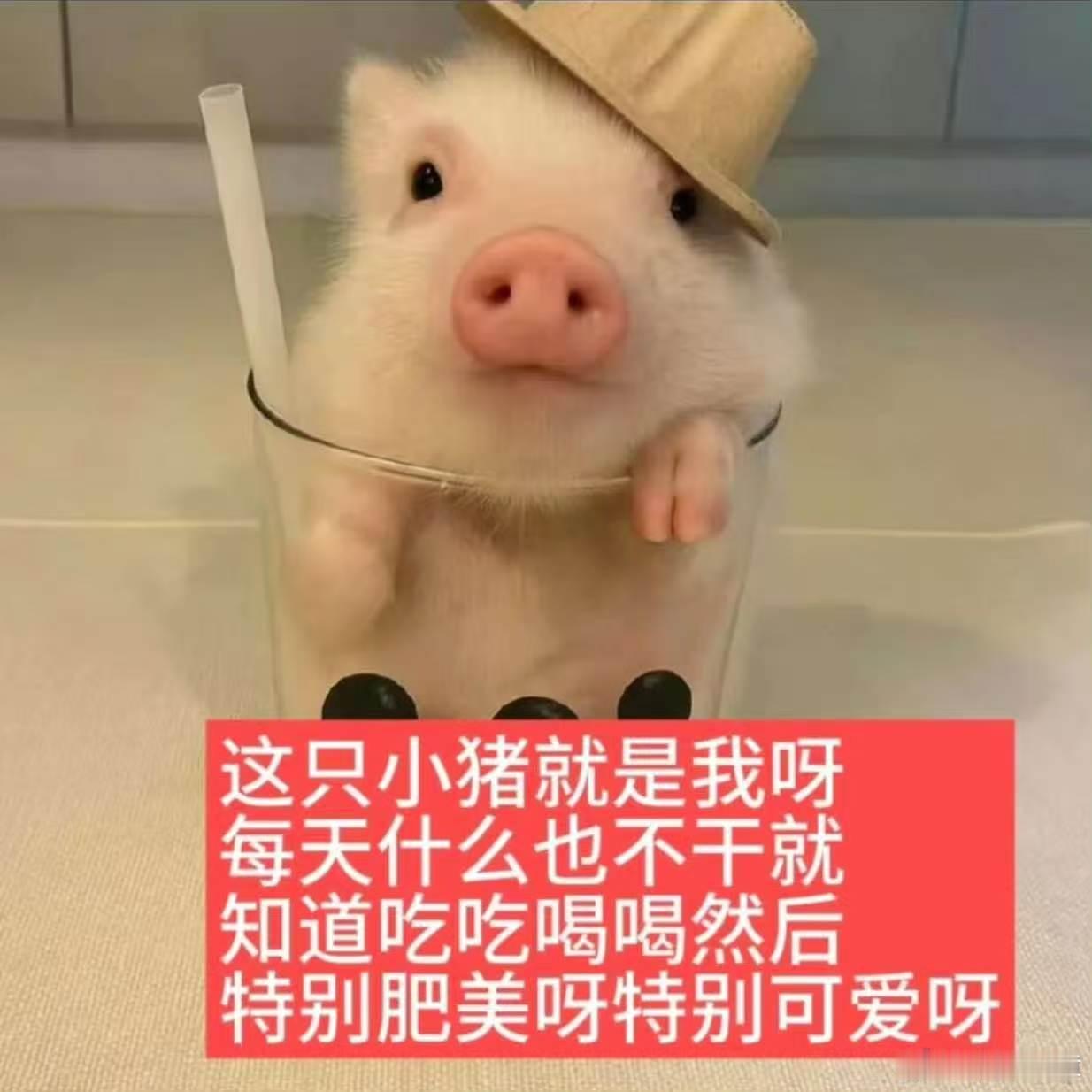 分享图片 