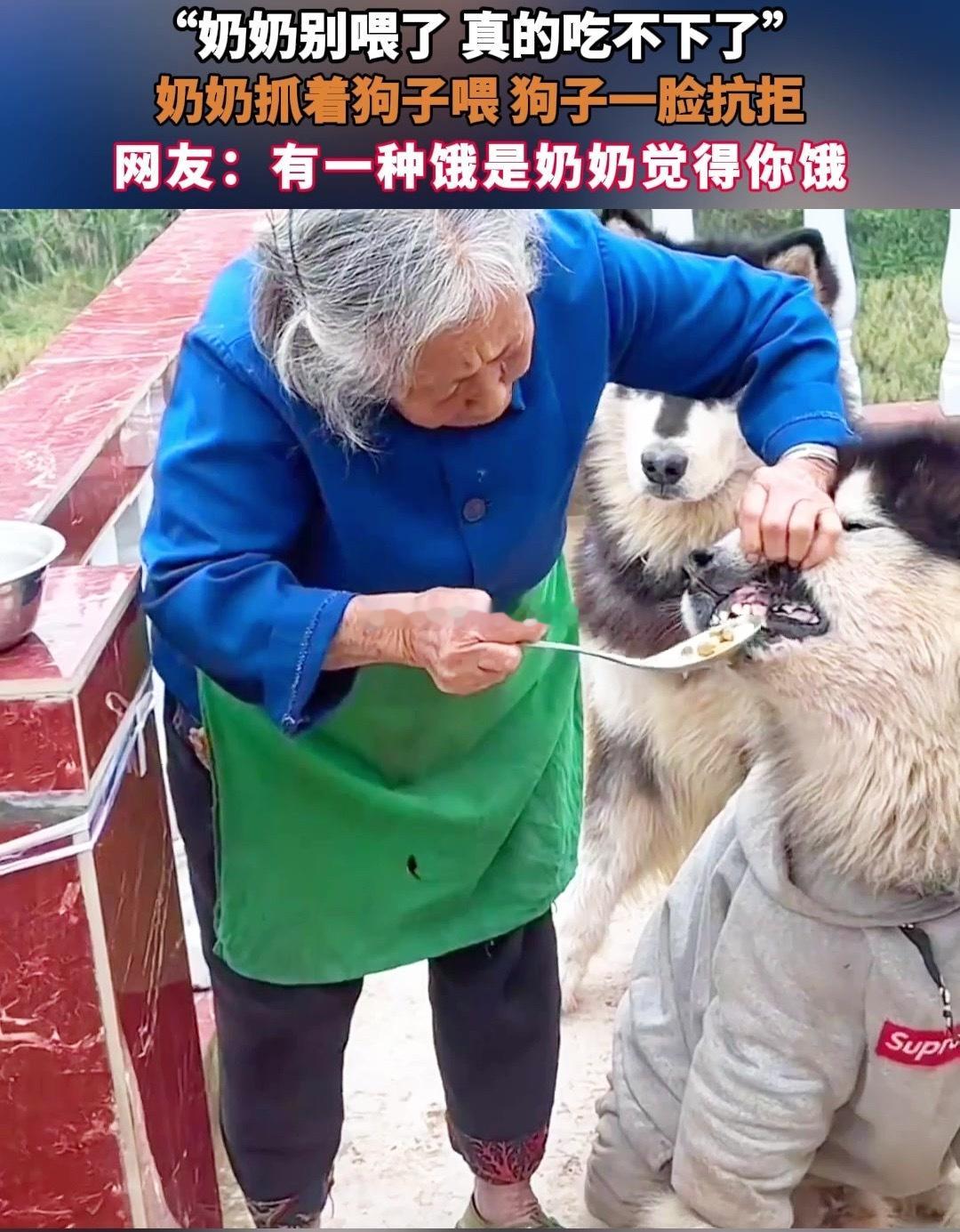 不要跟老人提喜欢吃什么这也是爷爷奶奶辈的独特魅力，就怕你吃不饱穿不暖日子过得不好