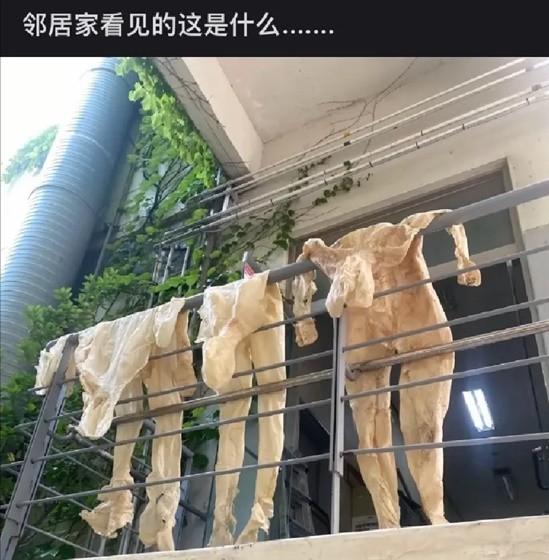 这挂的是什么？