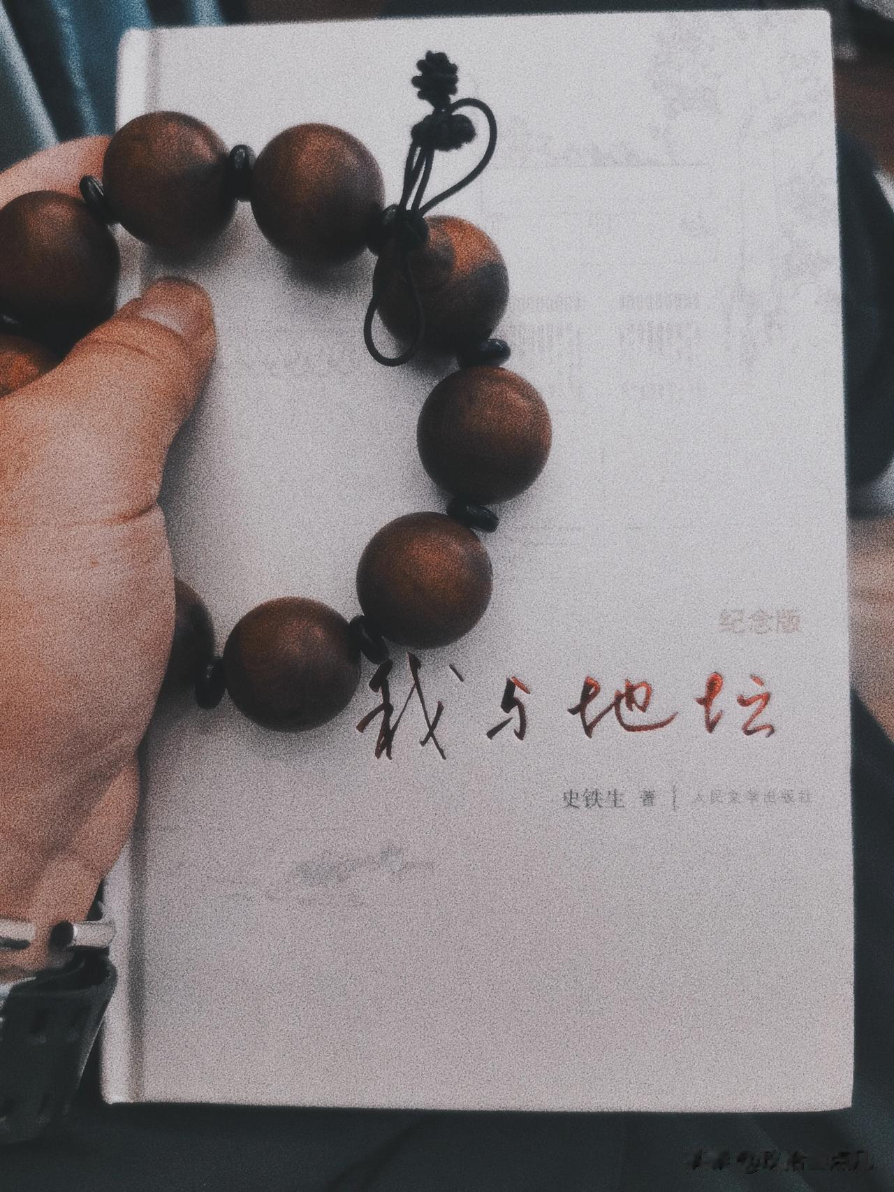 今日重读史铁生的《我与地坛》一书，我依然还会被史铁生对母亲的这段描写所感动。尤其