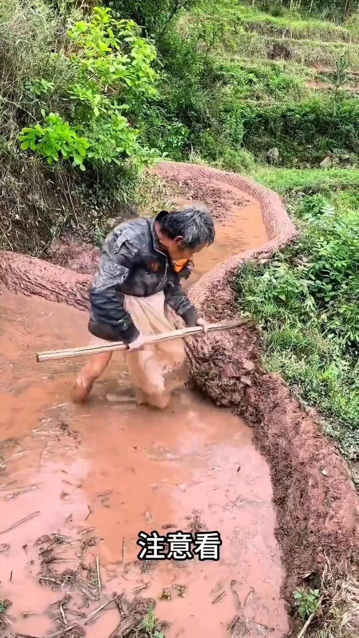 粒粒皆辛苦。
注意看，这就是大山里的农民耕种时的场景。山里的路不好走，现代机器下