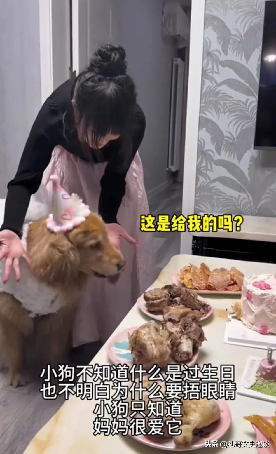 狗子过的比人们还好，你们信不信？你看看这个女人没有结婚，就养了一条狗，这是他的狗
