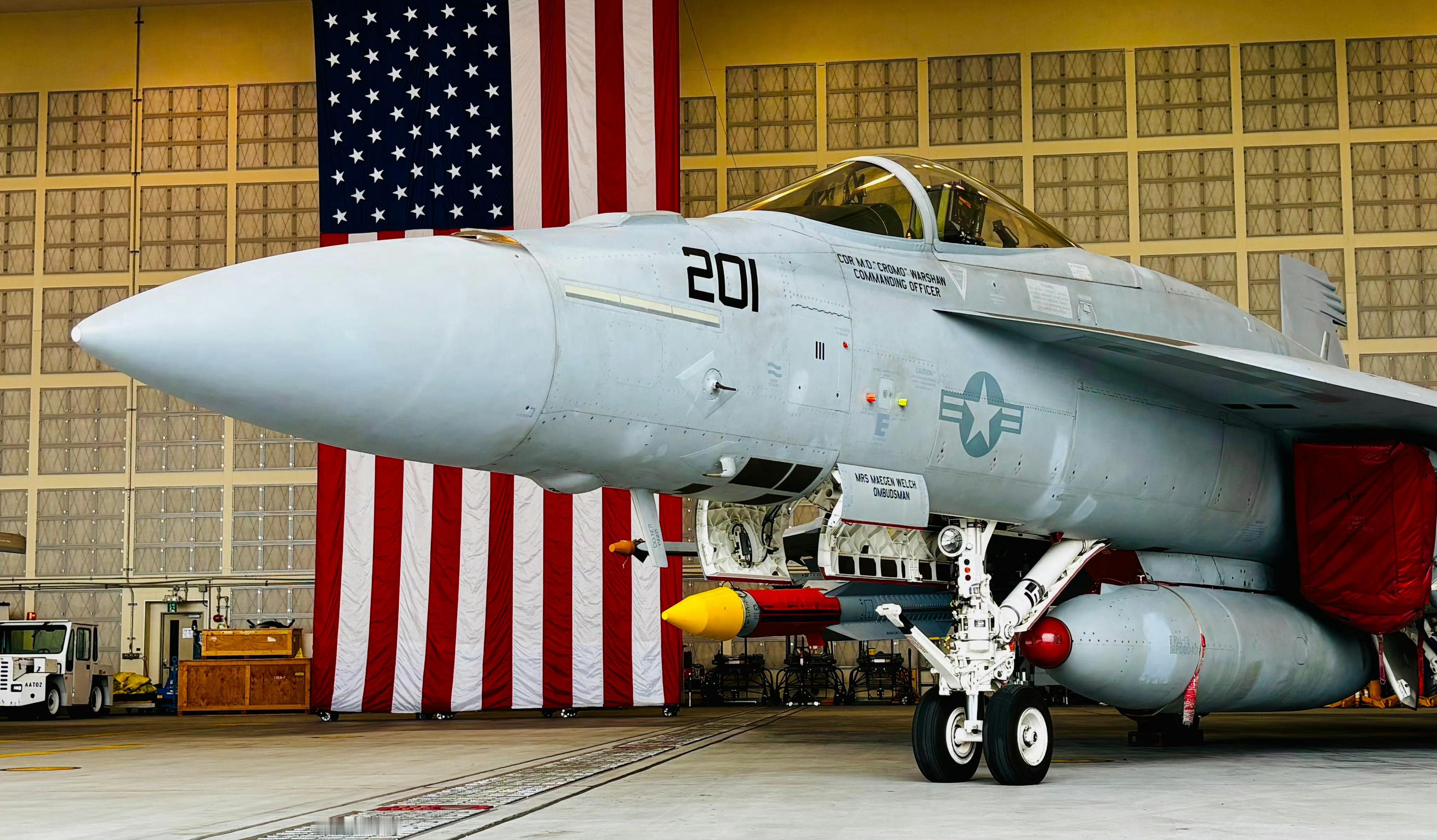 驻日美军海军航空兵举办开放日活动，F/A-18E挂上了AIM-174B远程空空导