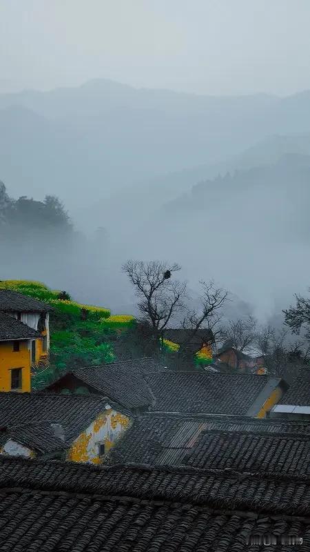 山村烟雨润芳华，
花绽溪头映落霞。
烂锦千丛迷远客，
漫携风月品清茶。
注：这首