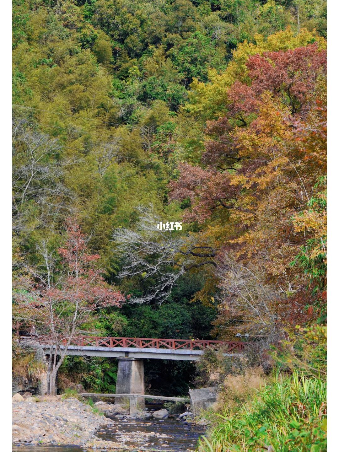 再说一次！！这个月高低🉐去一趟这里！真的美