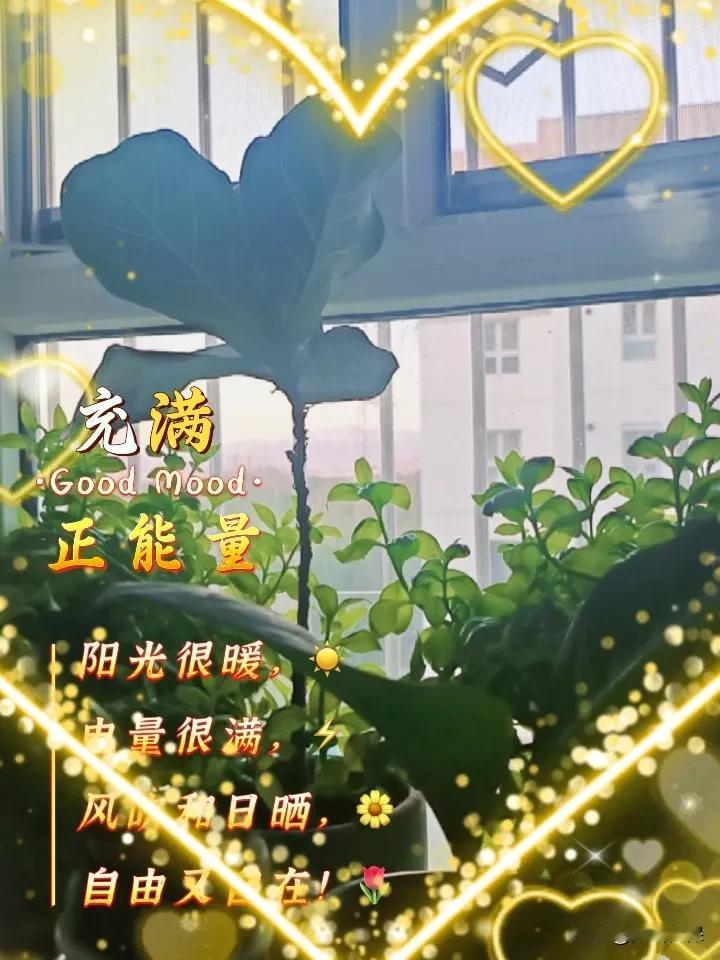 晒图笔记大赛 参加 晒图笔记大赛，必须晒出我在南宁邂逅的清朗早晨。清晨去湖畔漫步