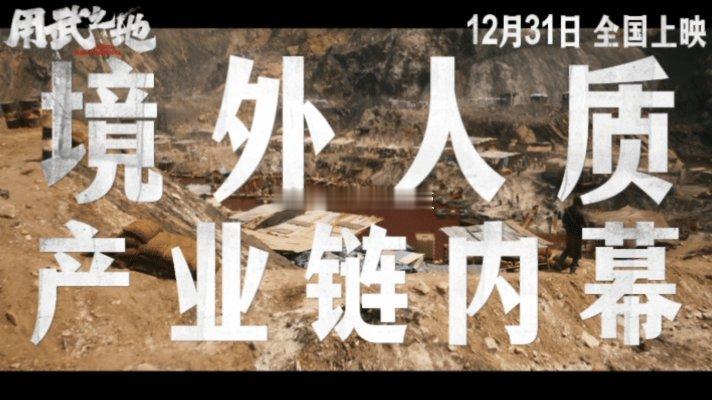 用武之地首次曝光境外人质产业链境外夫妻被绑架会杀一留一 真的别太沉浸式了，跨年档