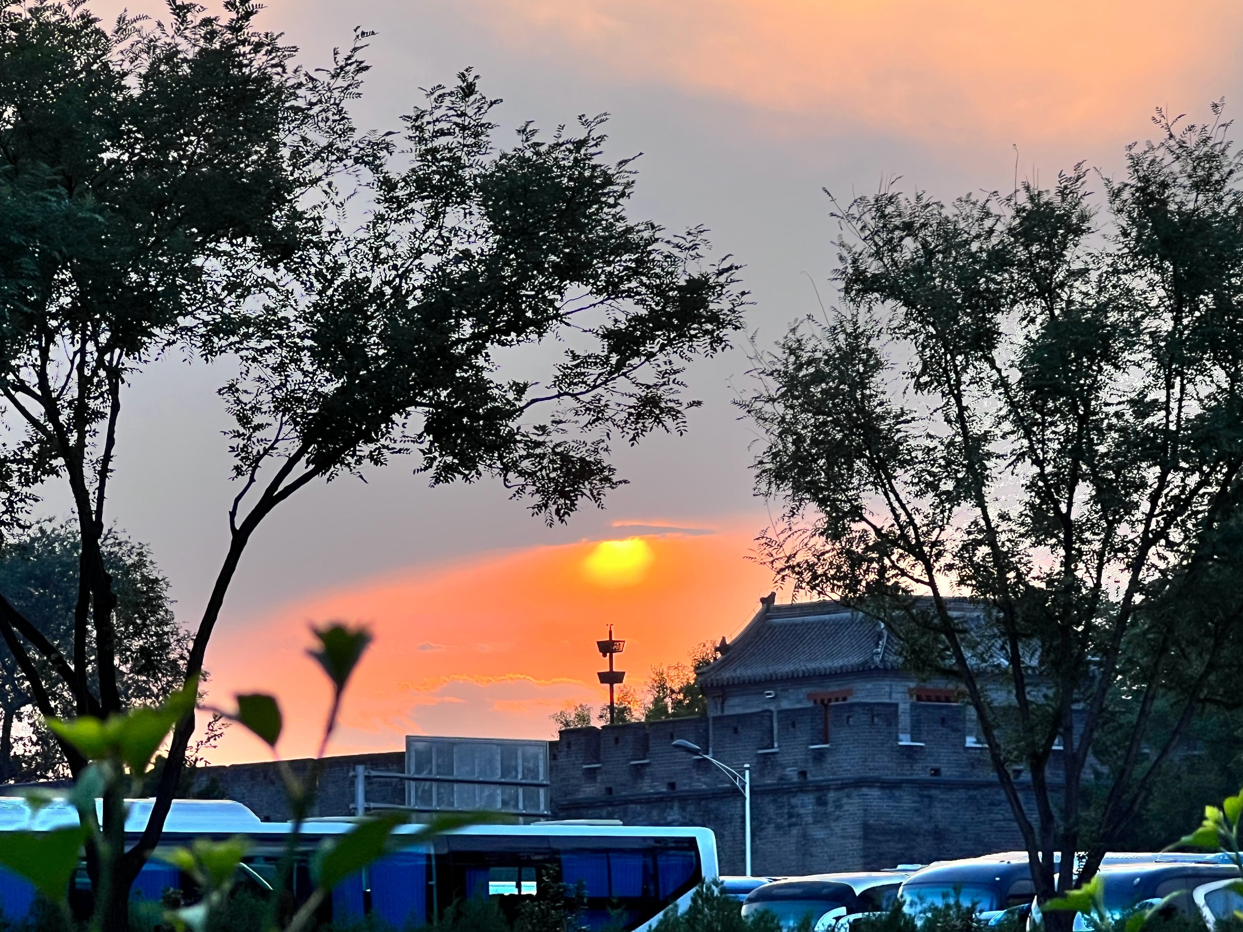 今天的抬头看天。 