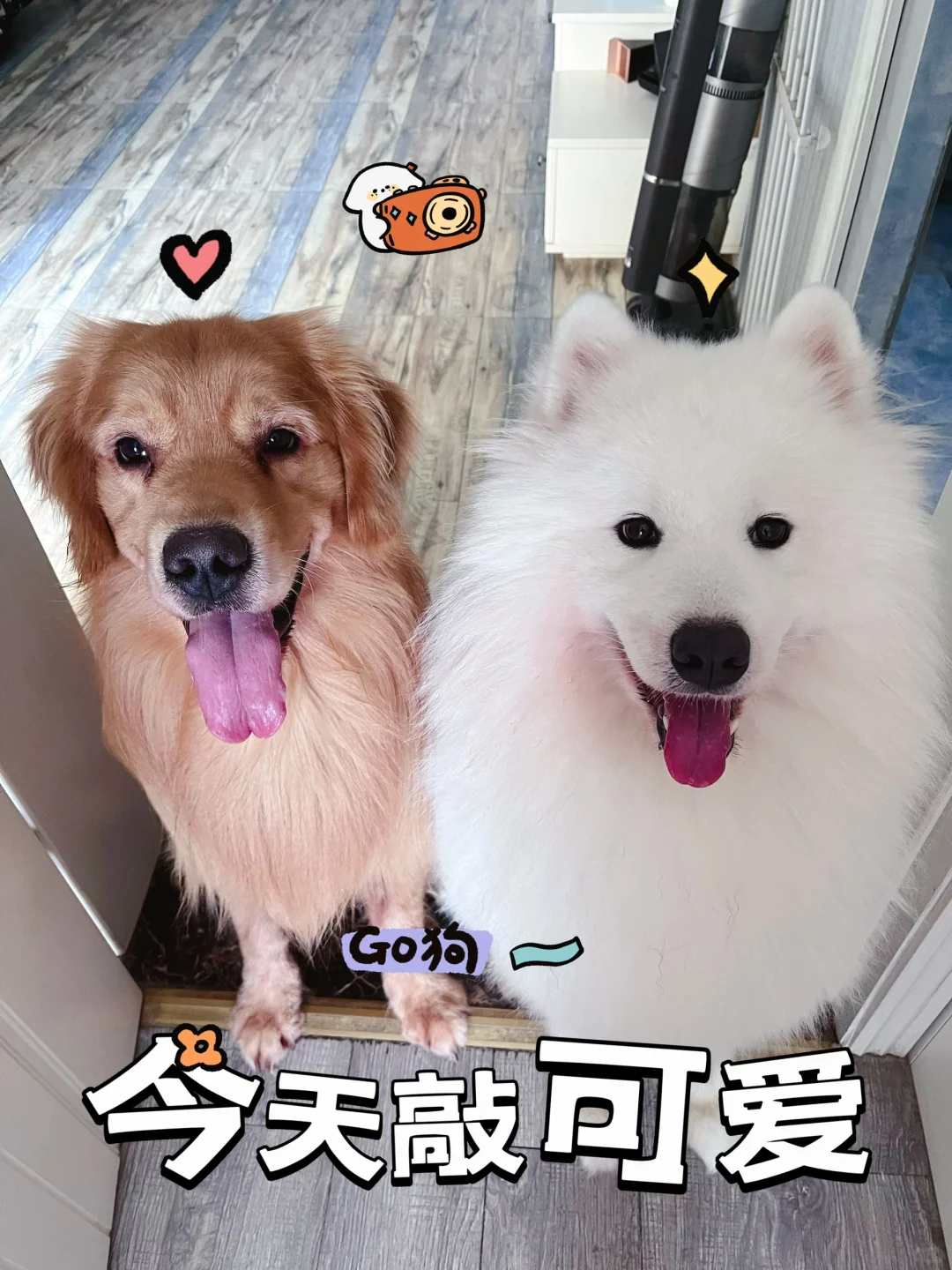 可乐加冰🧊的居家日常