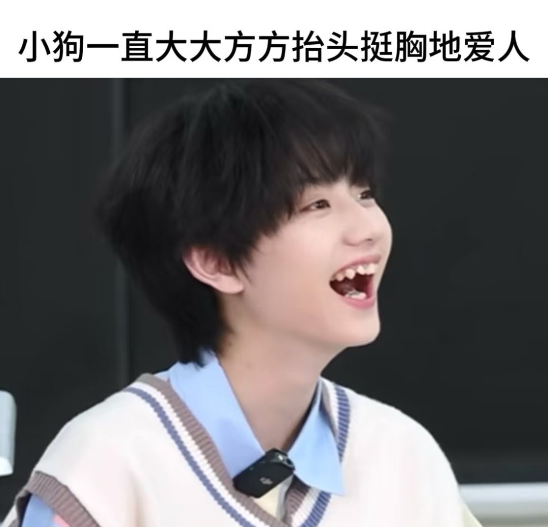 东！是一只小斗！李煜东 四代唯一视觉中心