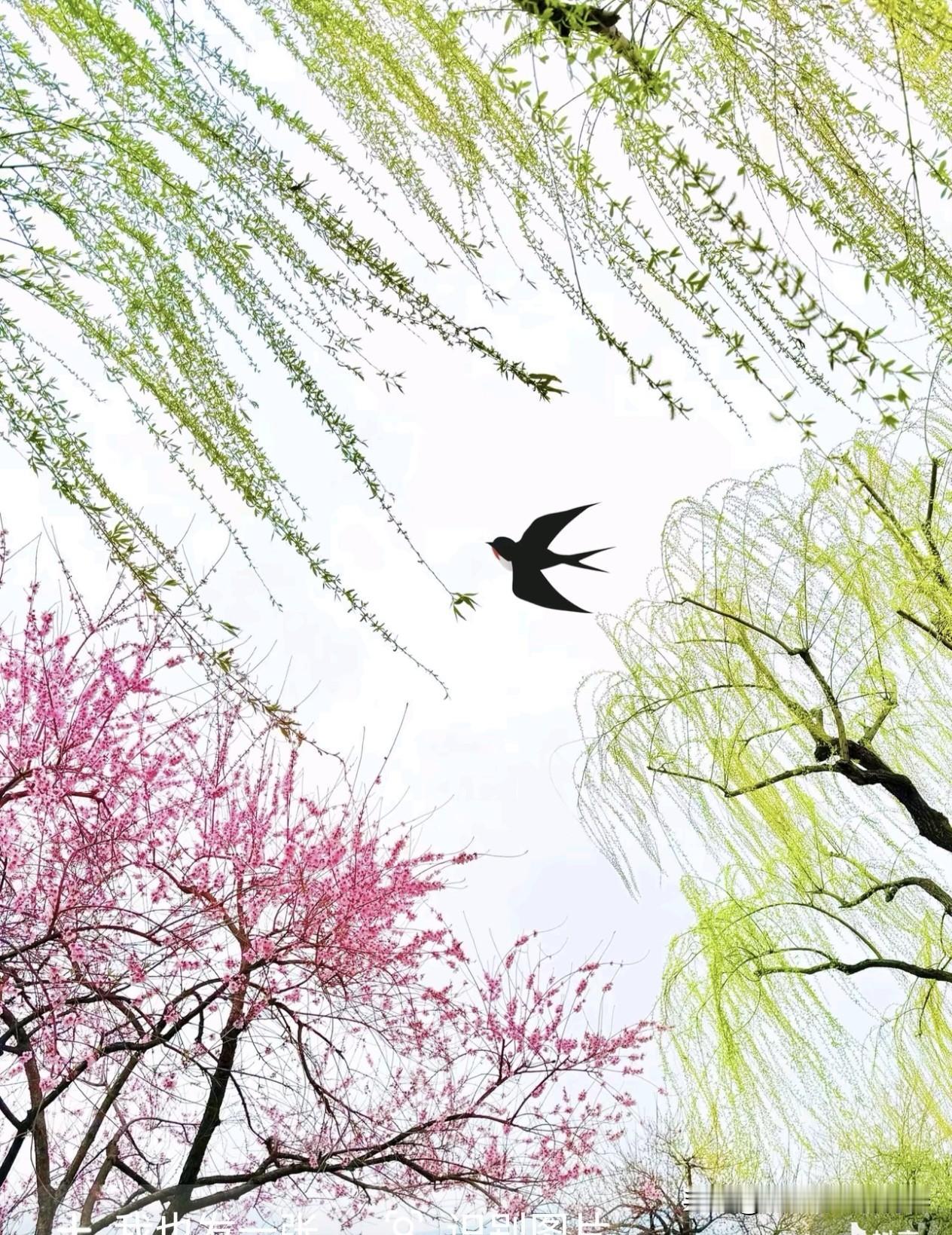 日本传奇实业家稻盛和夫曾经说过：别太热衷于社交，你没用的时候，认识谁都没用。只有