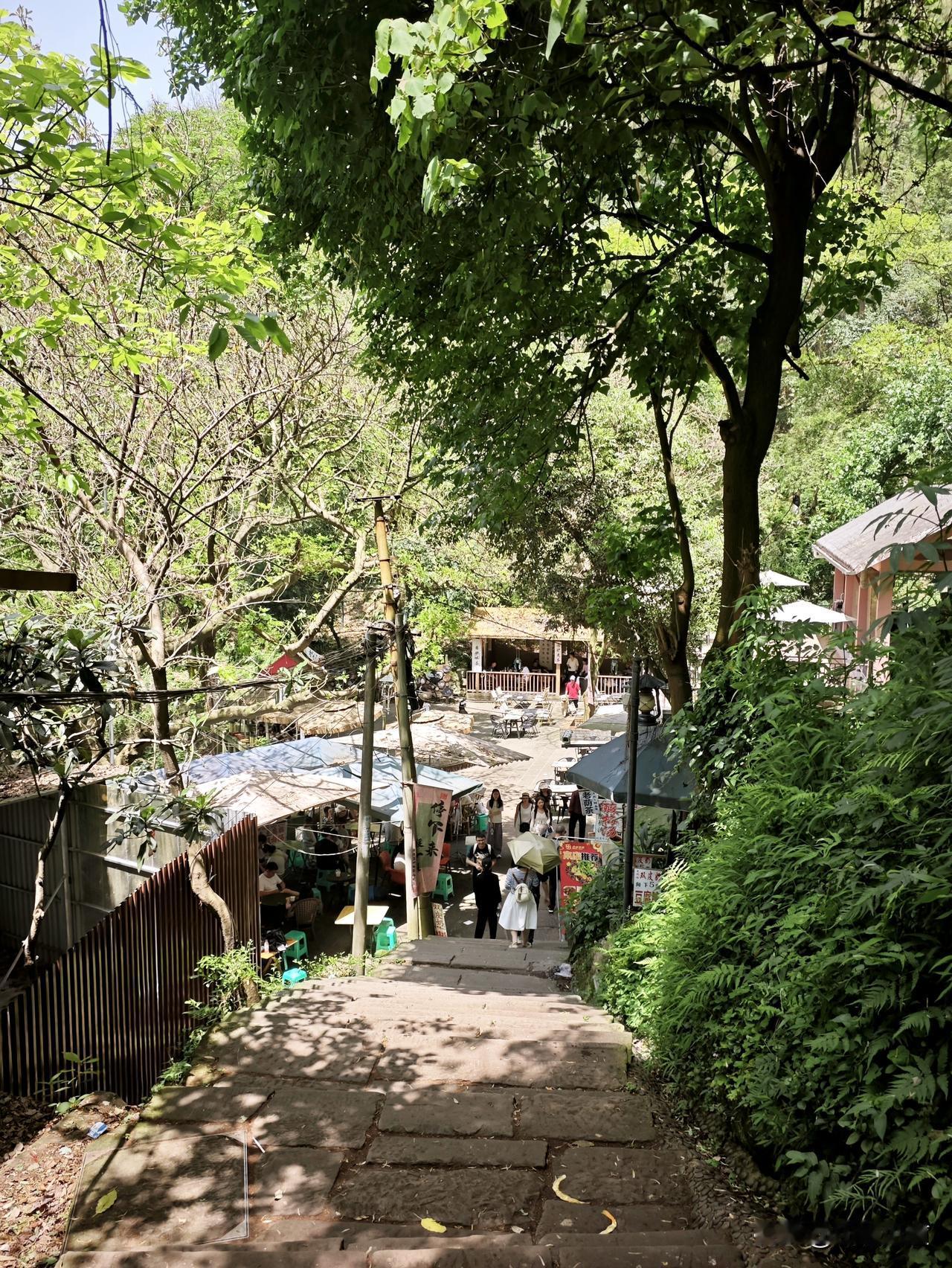 周末爬山，重庆南山。
轨道涂山站起，指月峰步道上山，到黄山抗博转凉水井步道，翻蒋