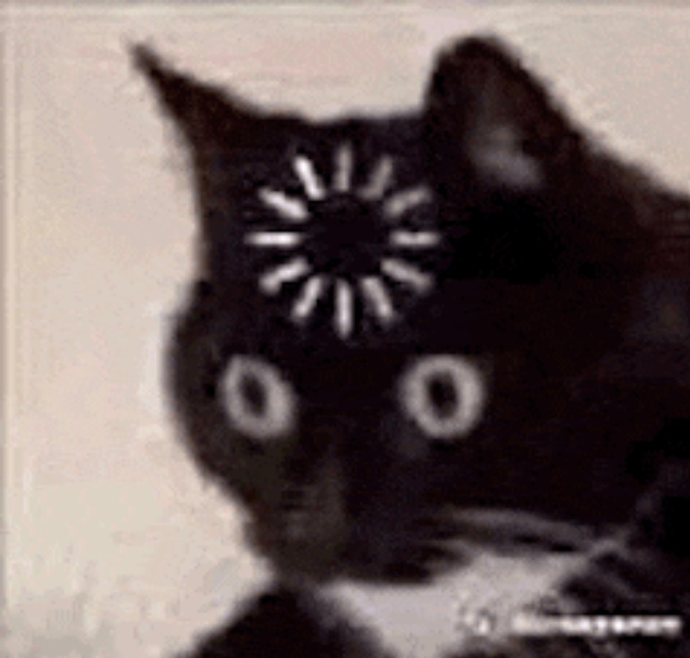 伊朗称愿斡旋巴基斯坦阿富汗冲突不是，你这……自己都要火烧沟子了还整这出呐 