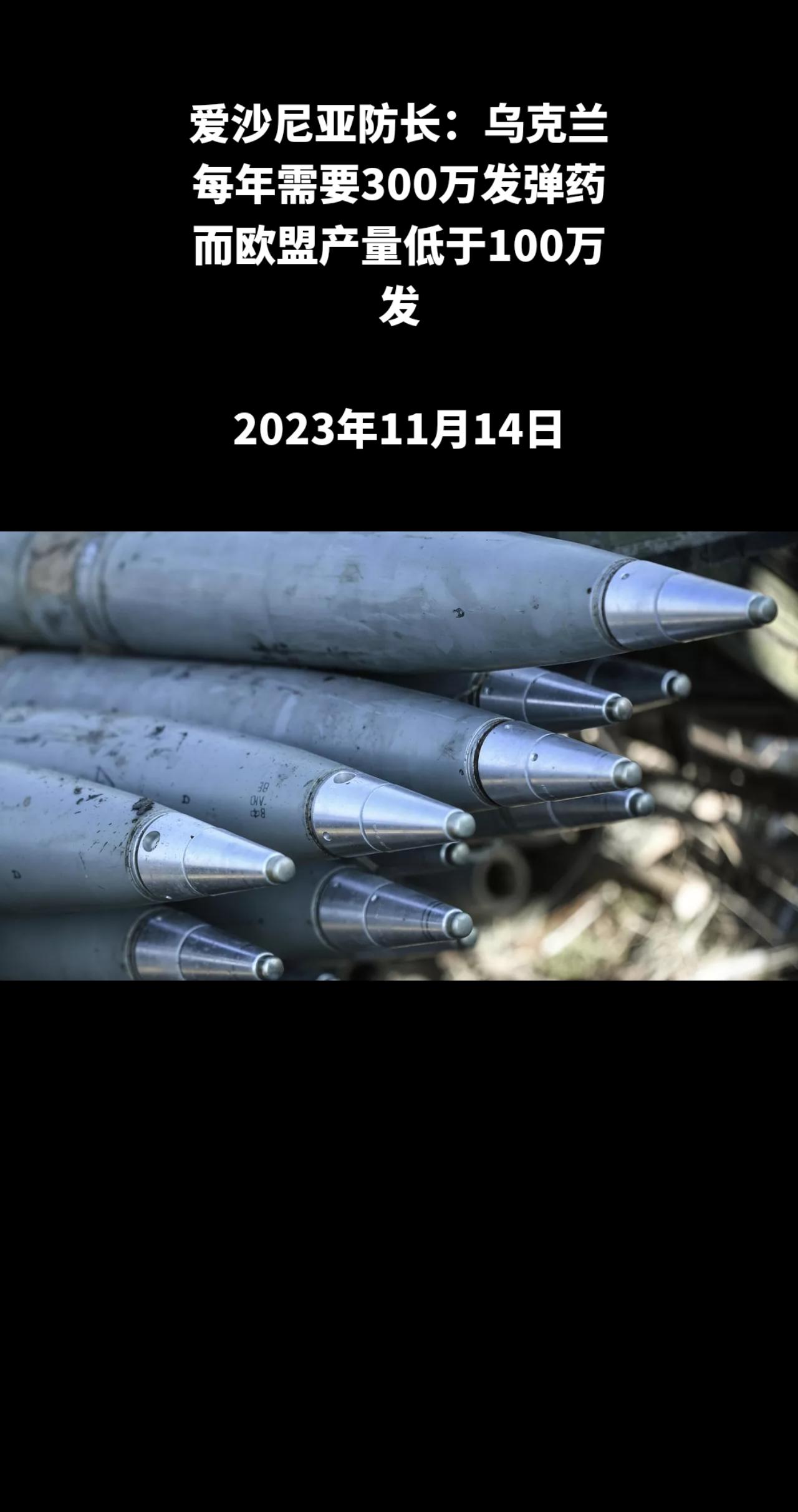 俄罗斯卫星通讯社赫尔辛基11月14日电 爱沙尼亚国防部长汉诺∙佩夫库尔表示，乌克
