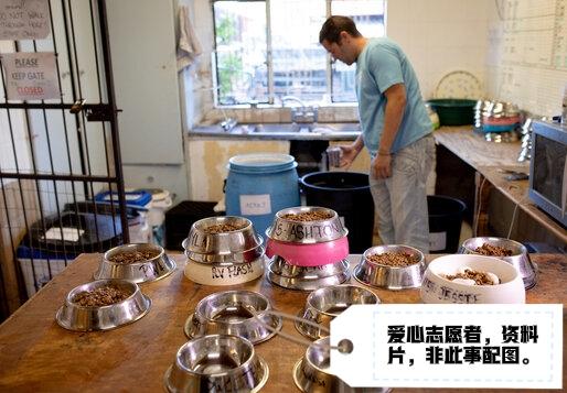 云南丽江一家狗咖老板疑似跑路失联，现场遗留70余只哈士奇和多只小猫。现场环境恶劣