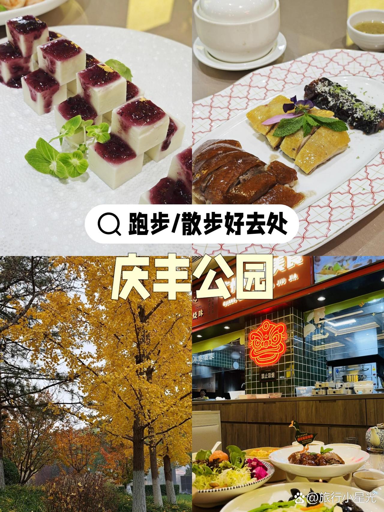 春日漫跑指南|庆丰公园的松弛感之旅

被问爆的春日跑步地！绿意与晨光交织的庆丰公