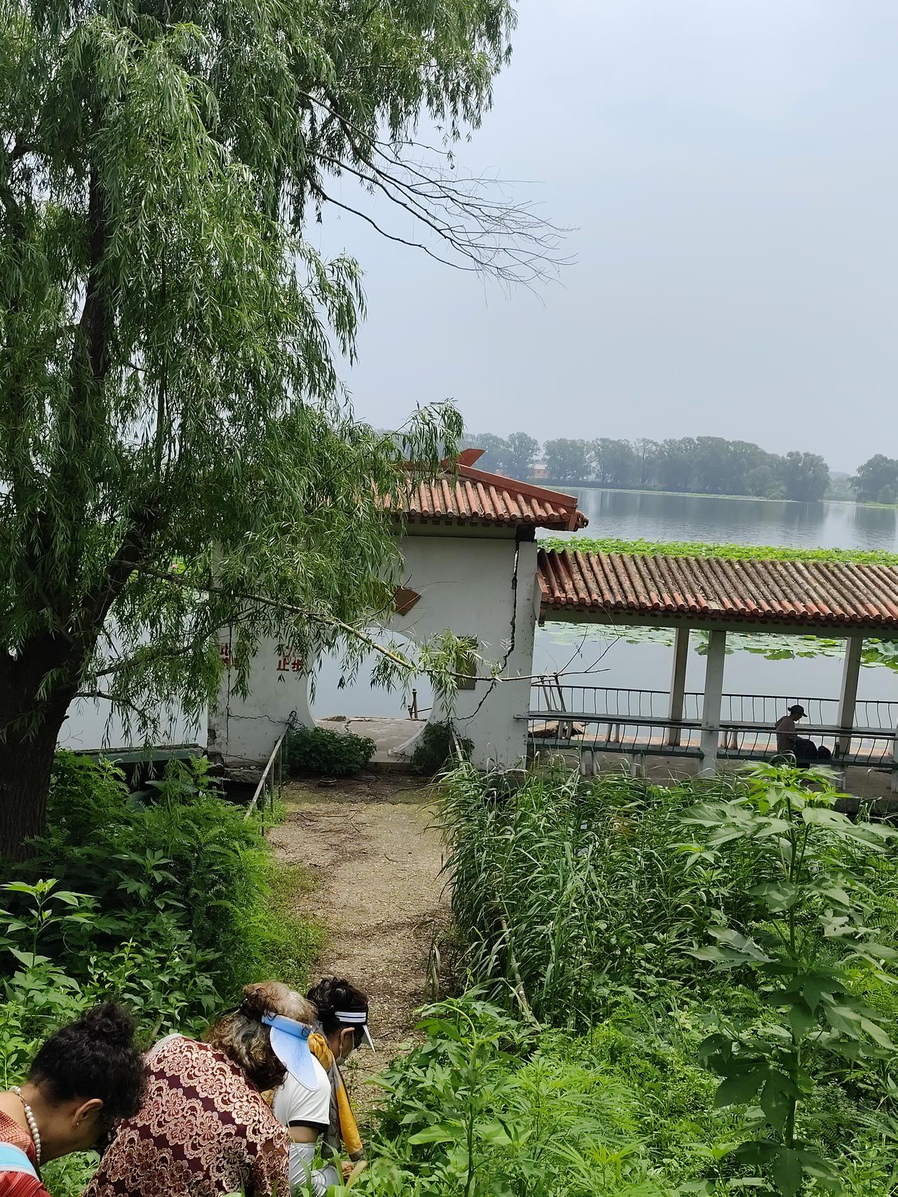 台风白海豚影响到你的日常生活了吗由于距离较远，台风白海豚尚未响影我的日常生活。