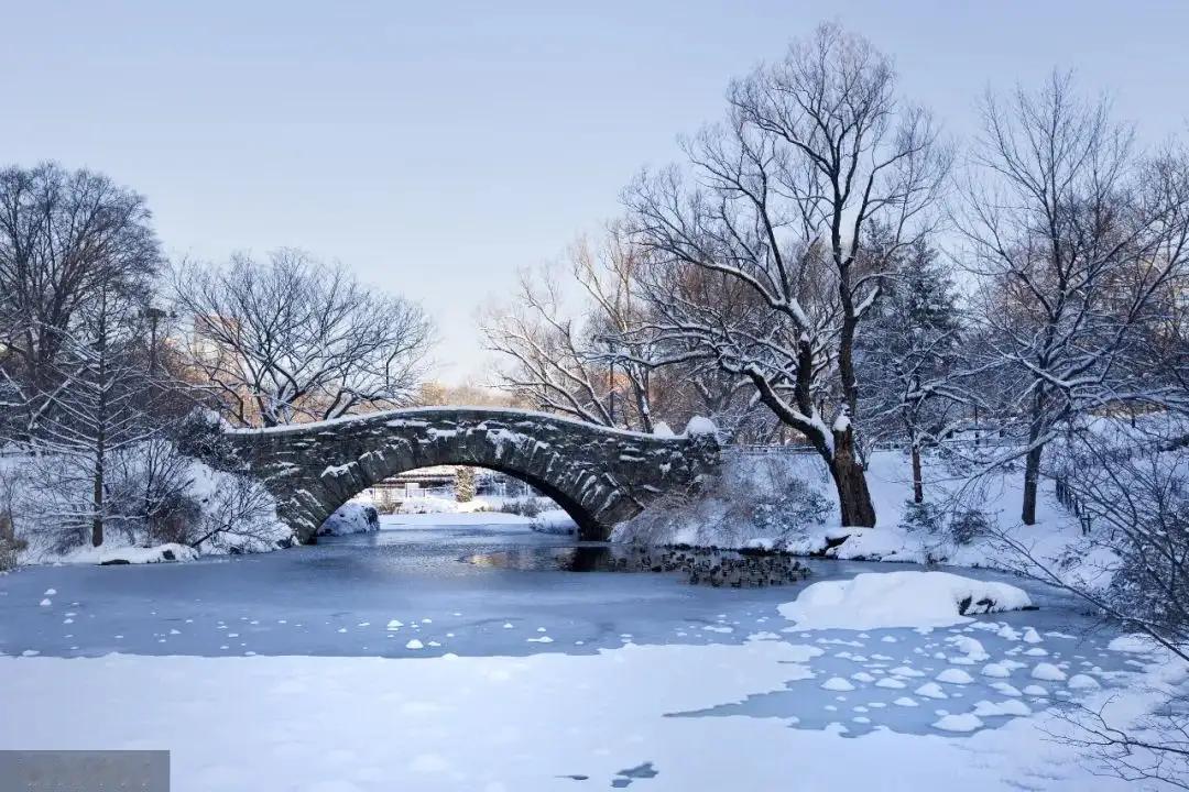 大雪
宋·陆游
大雪江南见未曾，今年方始是严凝。
巧穿帘罅如相觅，重压林梢欲不胜