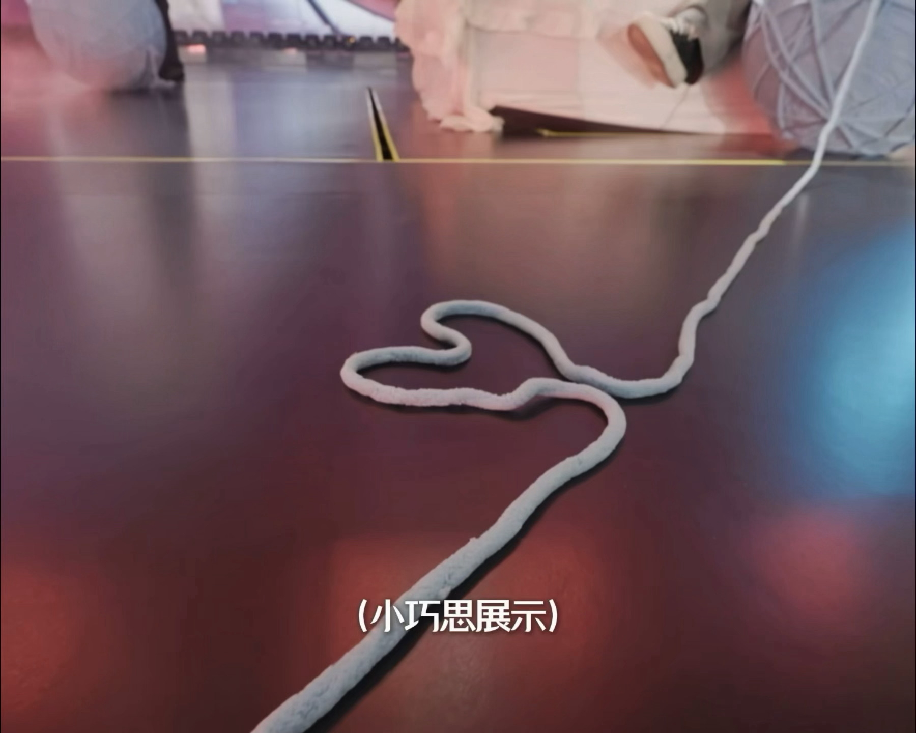 背景音清唱太好听了[柯基] ​​​